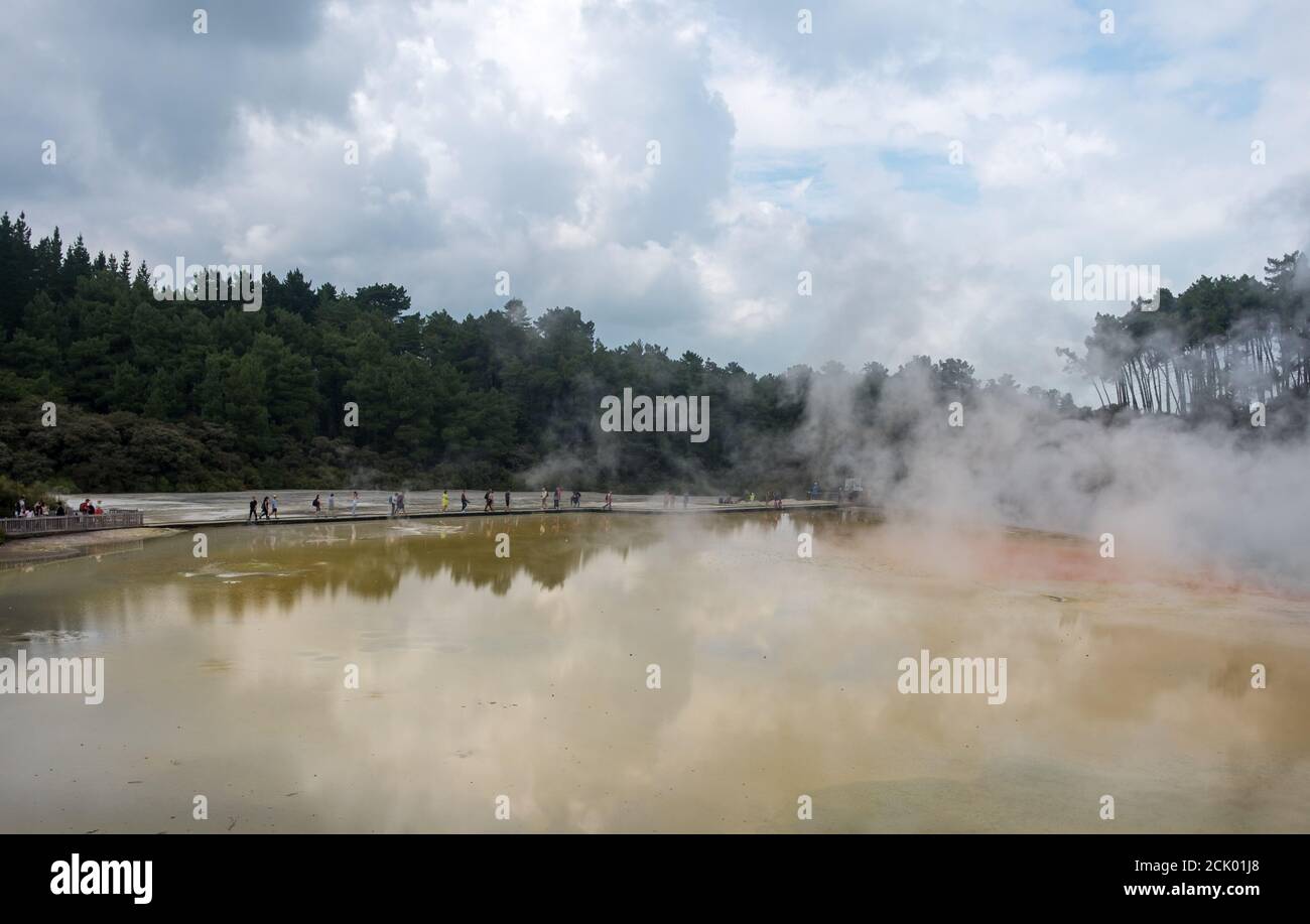 Steam rising from the geothermal pools in Wai-O-Tapu (Sacred Waters) near Rotorua in New Zealand Stock Photo