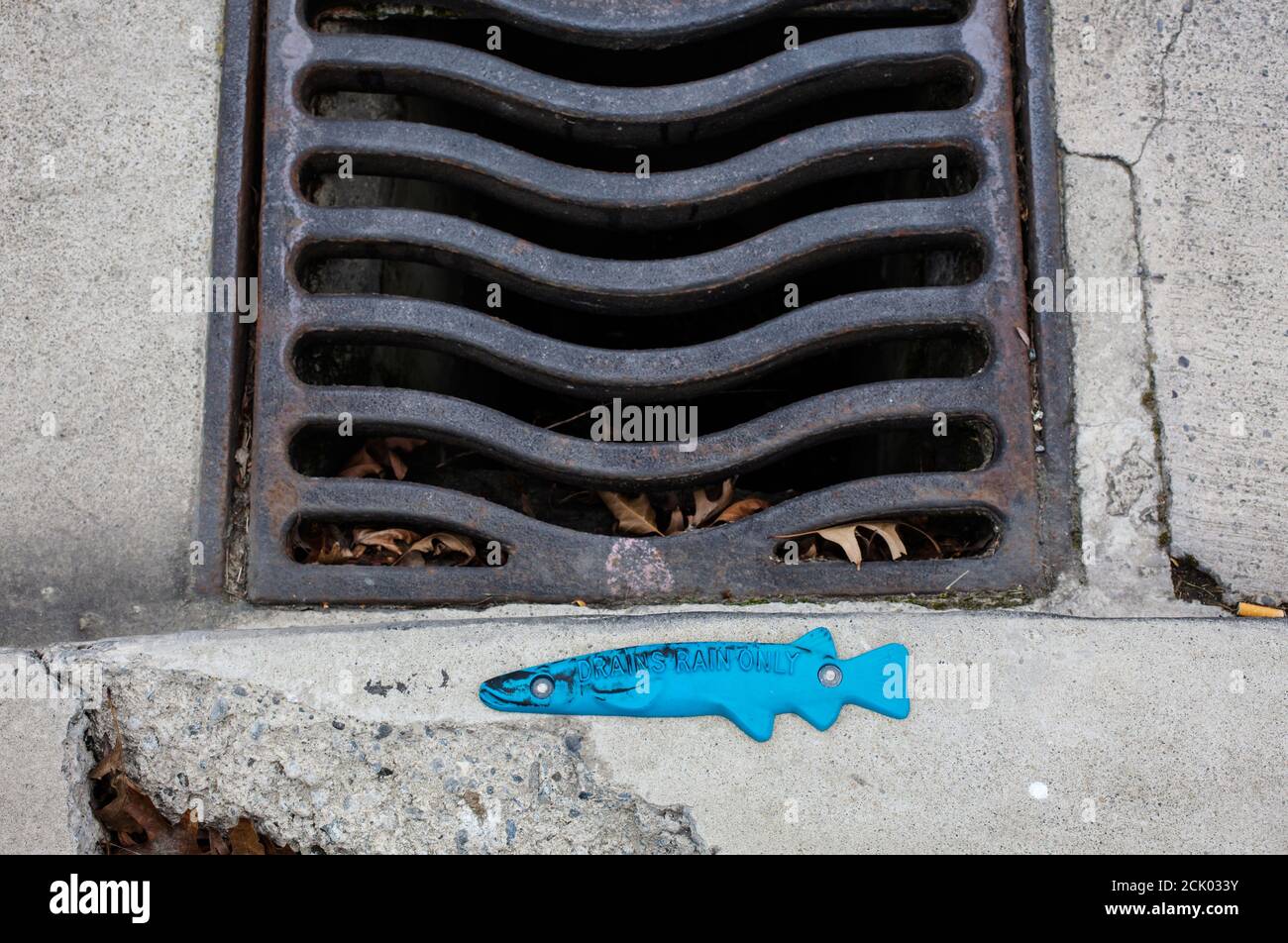 Novel drain warning. For rain-water only - no dumping of household or industrial waste down storm-water drains. Protect fish life. Stock Photo