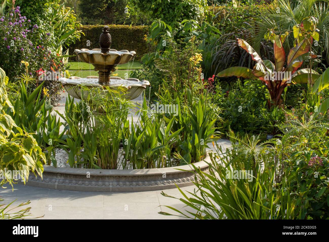 Exotic garden – RHS Wisley Stock Photo
