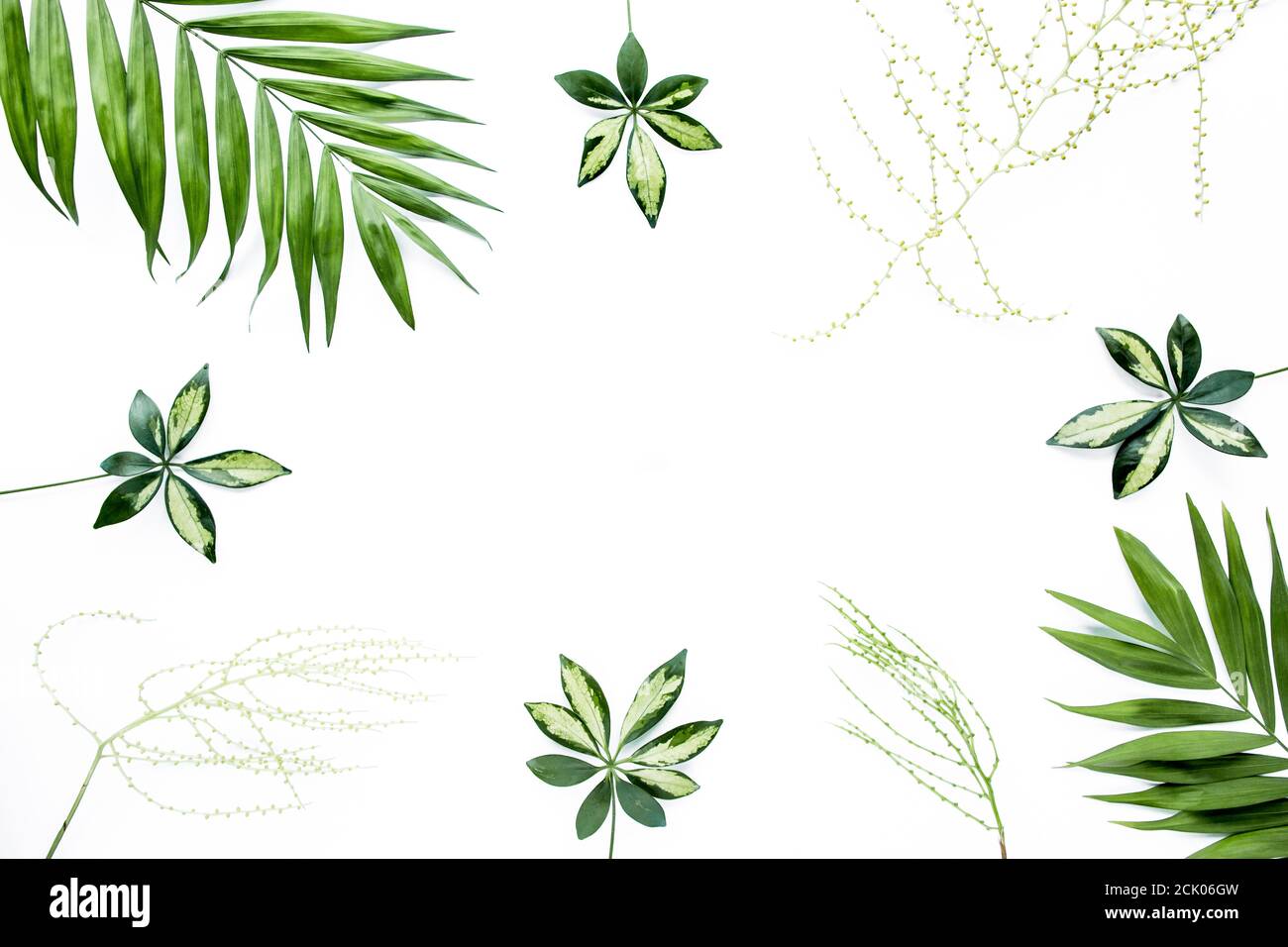 green palm leaf branches on white background. flat lay, top view Stock ...