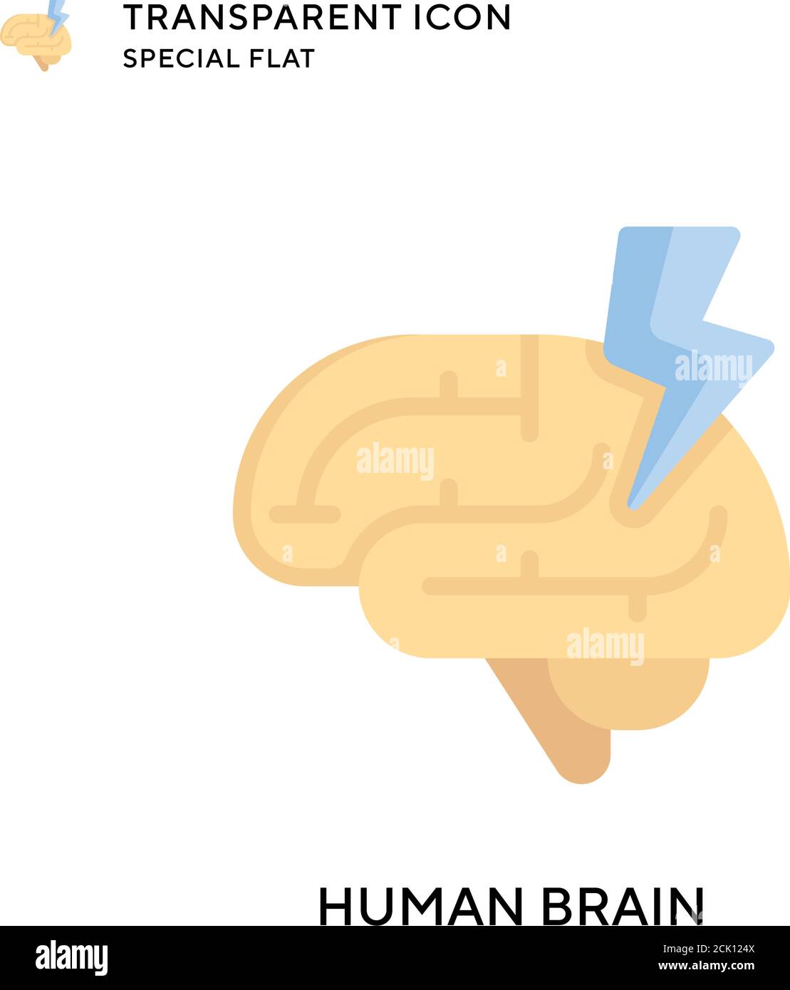 White matter brain illustration Stock Vector Images - Alamy