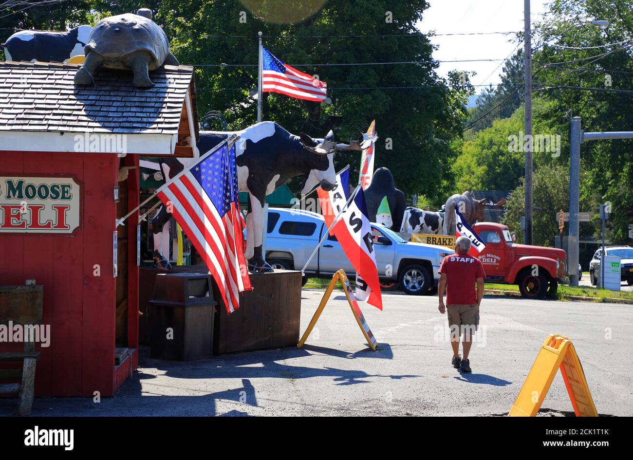 US flags and animal sculptures decorated Big Moose Deli & Country Store.Hoosick.New York.USA Stock Photo