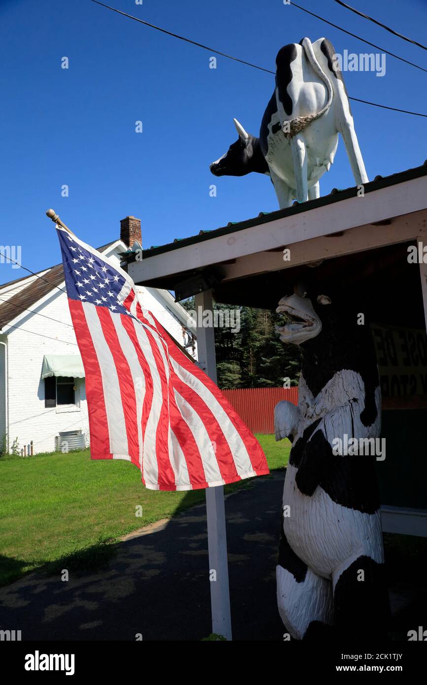 Welcome sign with US flags and animal sculptures decorated Big Moose Deli & Country Store.Hoosick.New York.USA Stock Photo
