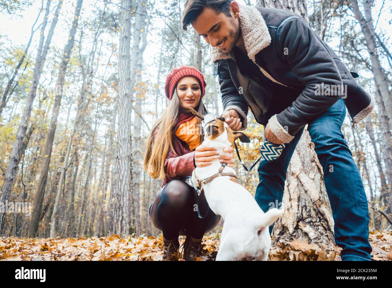 Woman and man walking their dog throwing a stick Stock Photo Alamy