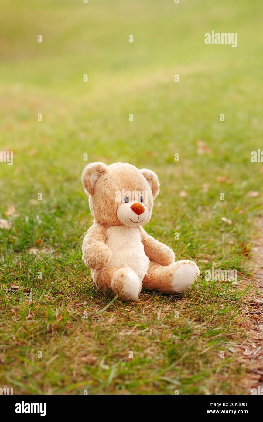 sad bear plush