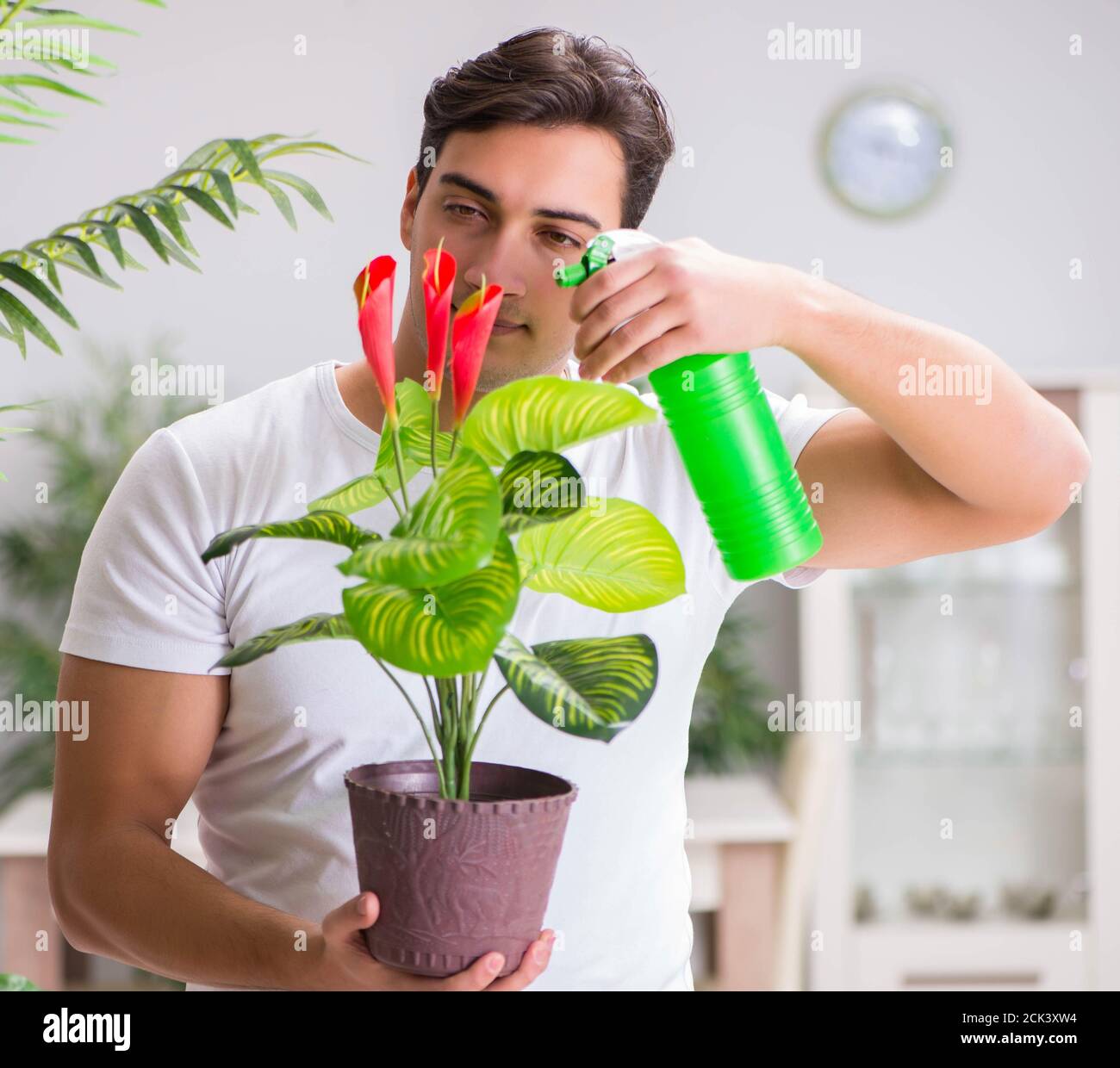 The young man in gardening concept at home Stock Photo