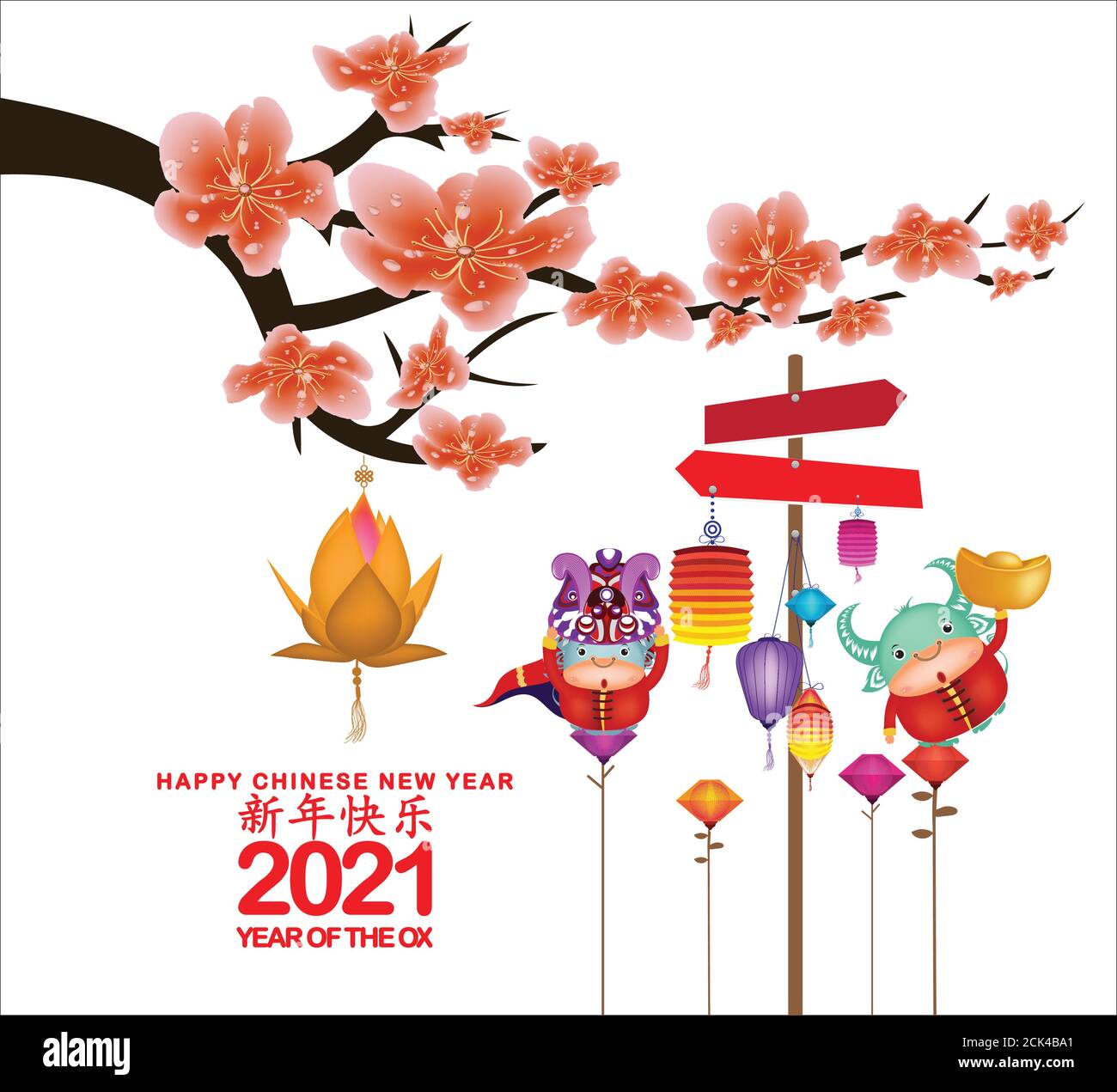 Sakura flowers background. Cherry blossom and lantern isolated white