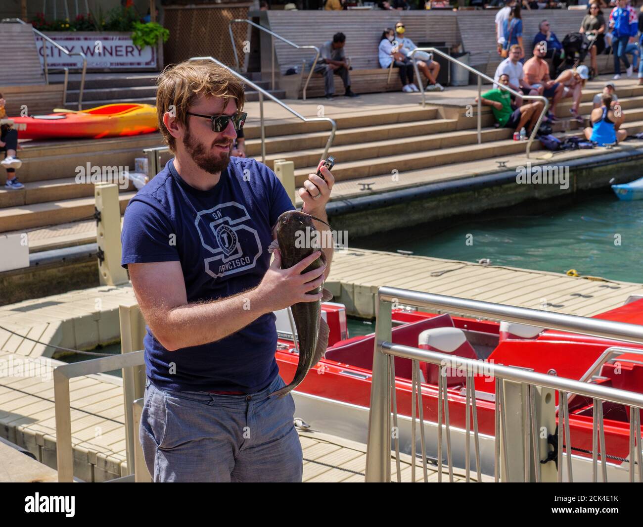 Man weighing channel catfish he caught the fish weighed over five pounds 2.3kg. Chicago Riverwalk. Channel catfish can grow as large as 50lbs 23kg Stock Photo Alamy