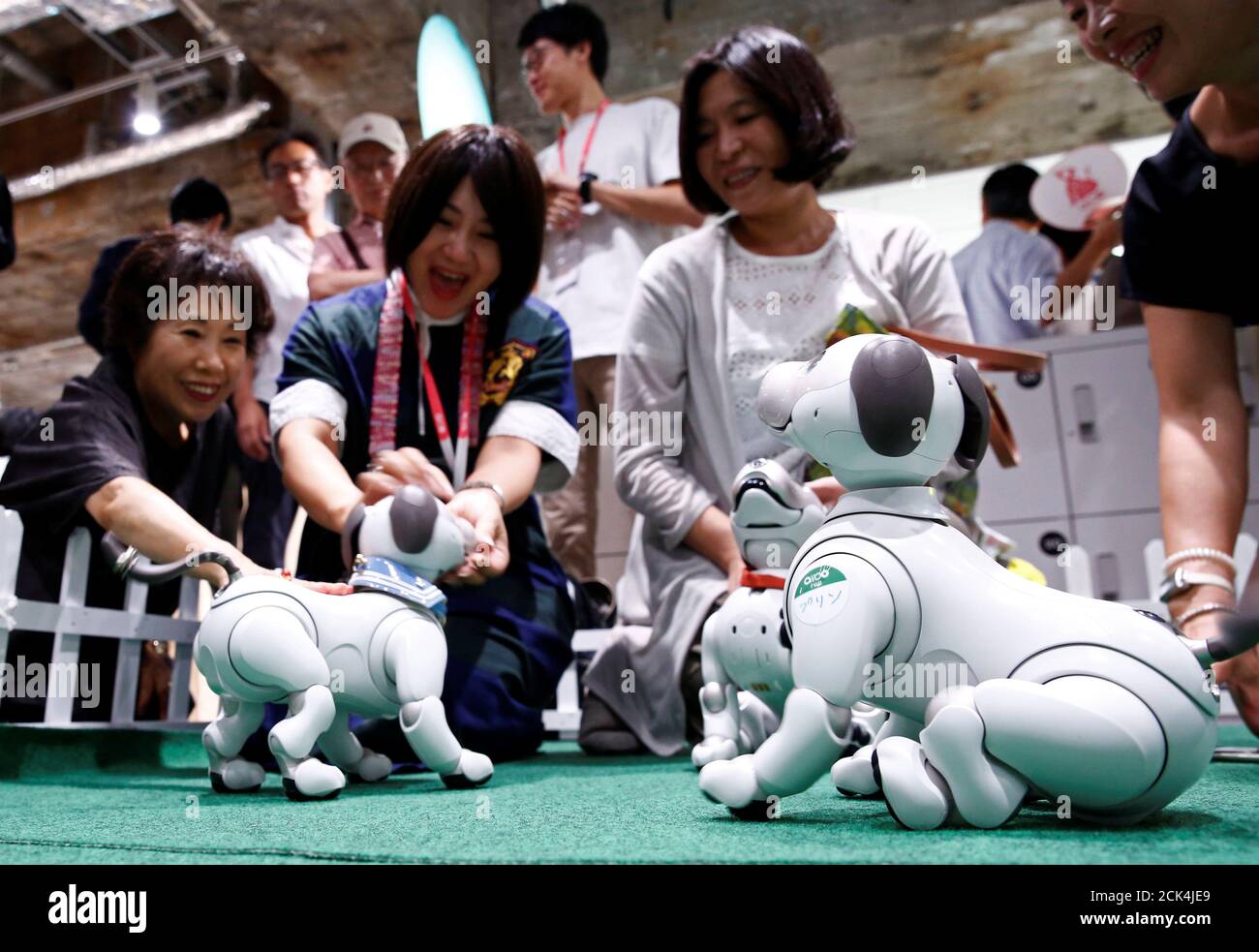 Owners of AIBO robot dogs pet their AIBO robots at Sony Corp's entertainment  robot AIBO's fan meeting in Tokyo, Japan August 26, 2018. REUTERS/Kim  Kyung-Hoon Stock Photo - Alamy