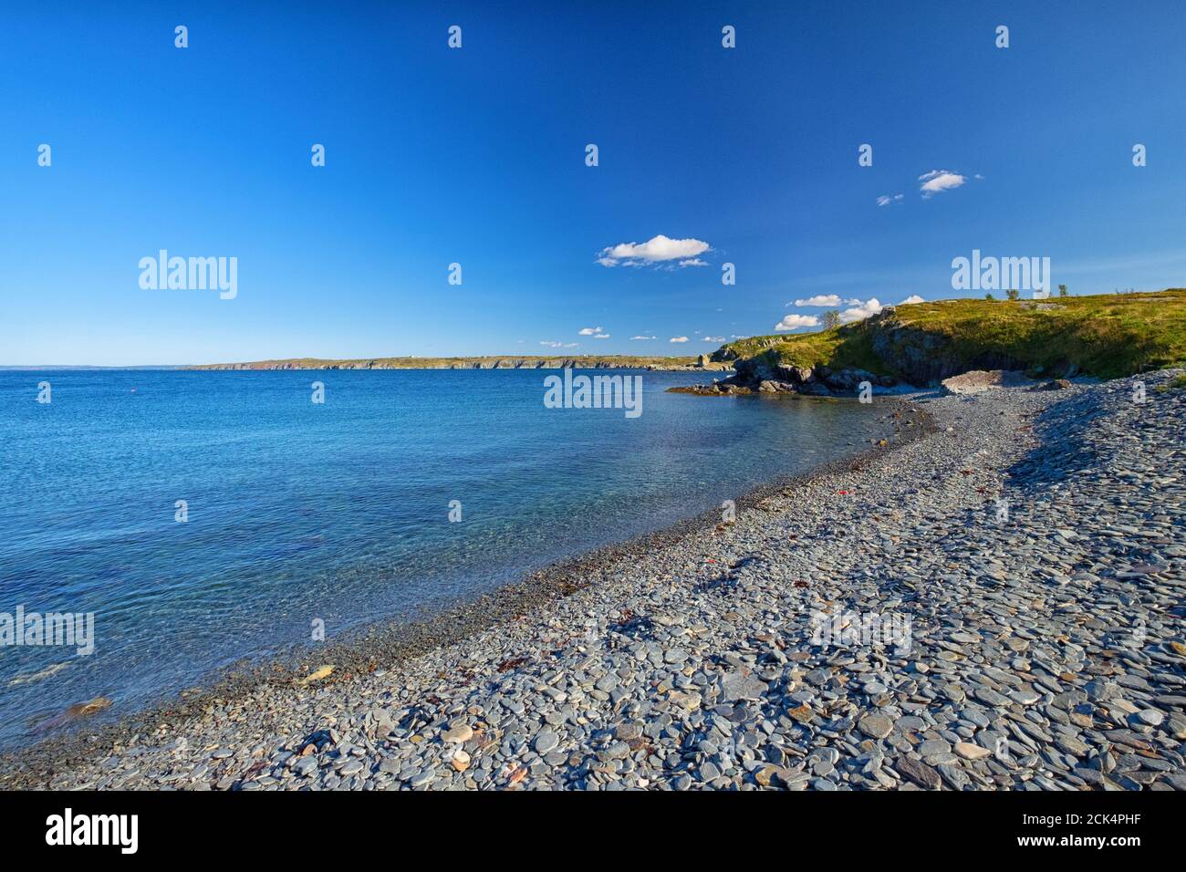 Bright blue sky with some white clouds over a pebble beach with some seaweed washed up on shore. There's a land mass or point at the end of the beach. Stock Photo