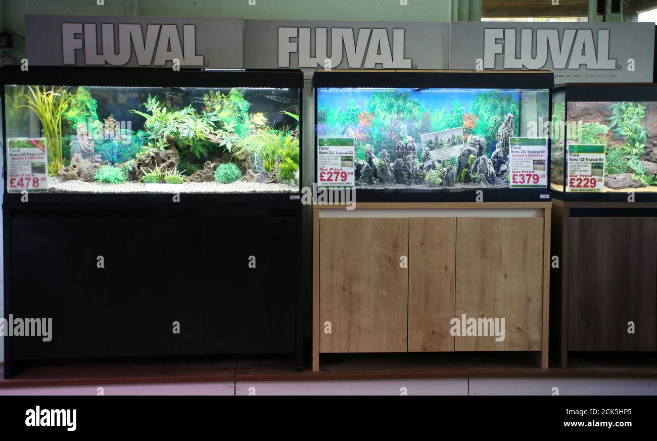 fluval aquasky for roma 200