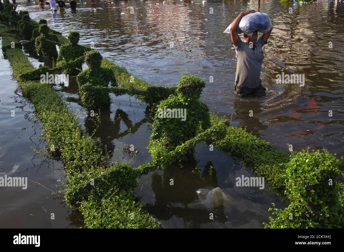 A man wades past sculptured hedges submerged by flood waters in a median in Bangkok's Bang Phlat district on October 30, 2011. Peak tides tested Bangkok's flood defenses on Sunday as hope rose that the centre of the Thai capital might escape the worst floods in decades, but that was little comfort for swamped suburbs and provinces where worry about disease is growing.   REUTERS/Adrees Latif    (THAILAND - Tags: ENVIRONMENT DISASTER TPX IMAGES OF THE DAY) Stock Photo