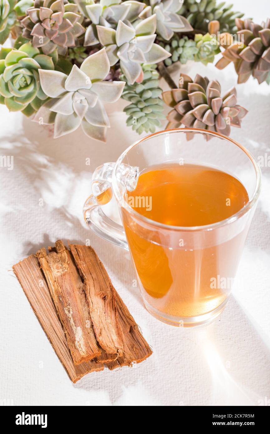 Bark and tea of cat's claw plant on white background Uncaria