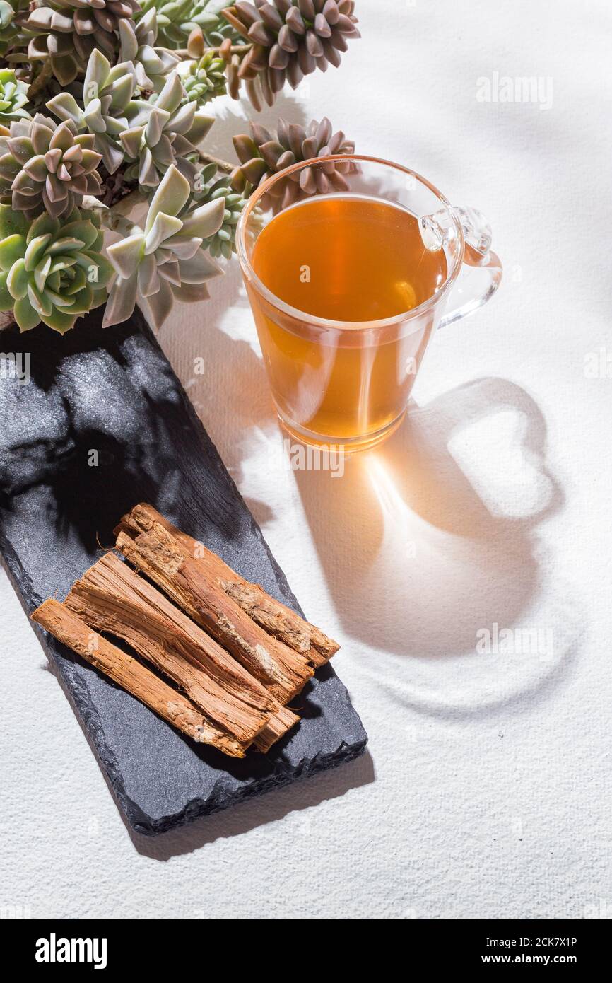 Bark and tea of cat's claw plant on white background Uncaria