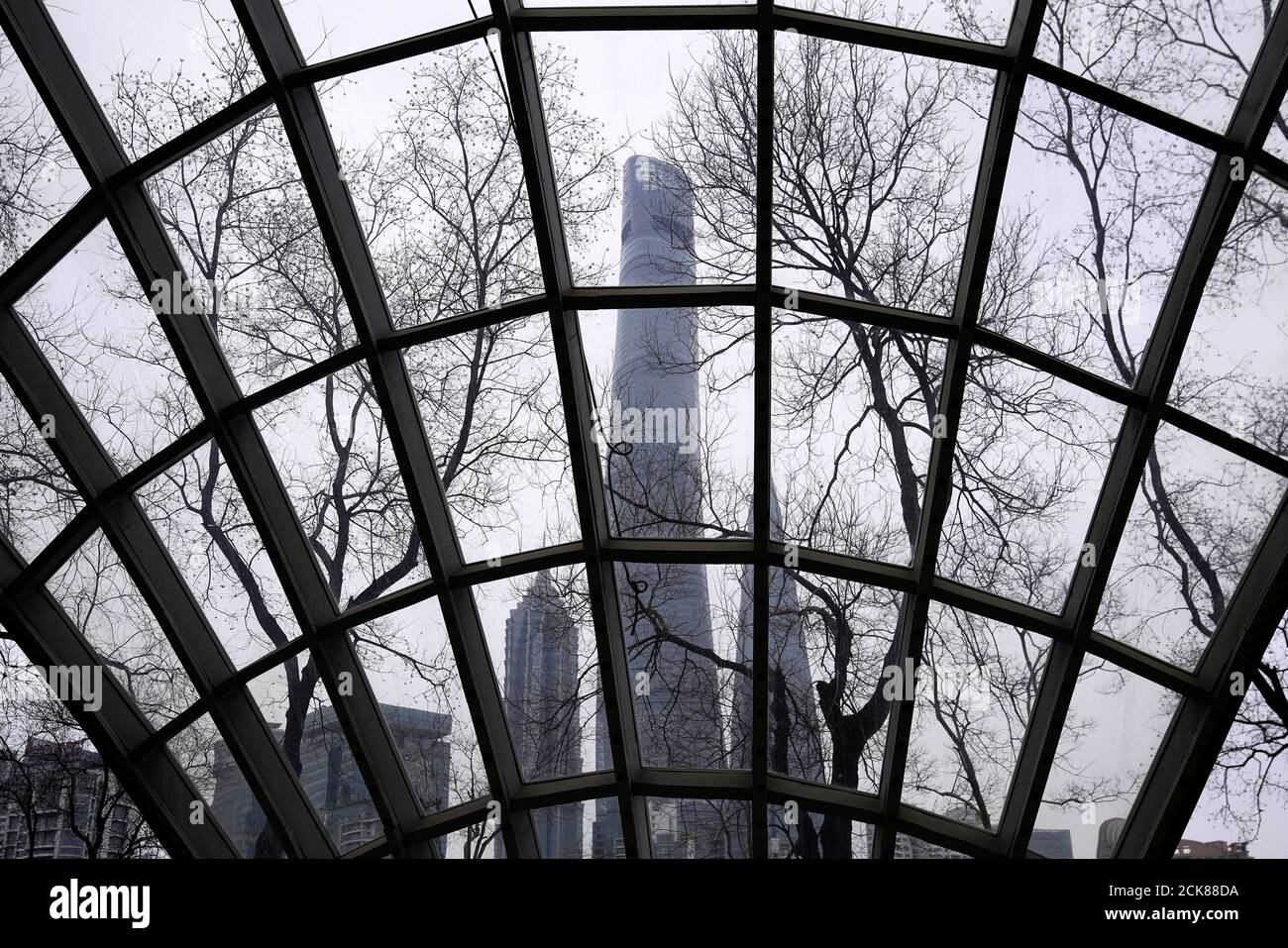 Skyscrapers Shanghai Tower (C), Jin Mao Tower (L) and Shanghai World Financial Center are seen at the financial district of Pudong in Shanghai, China January 15, 2020. REUTERS/Aly Song Stock Photo