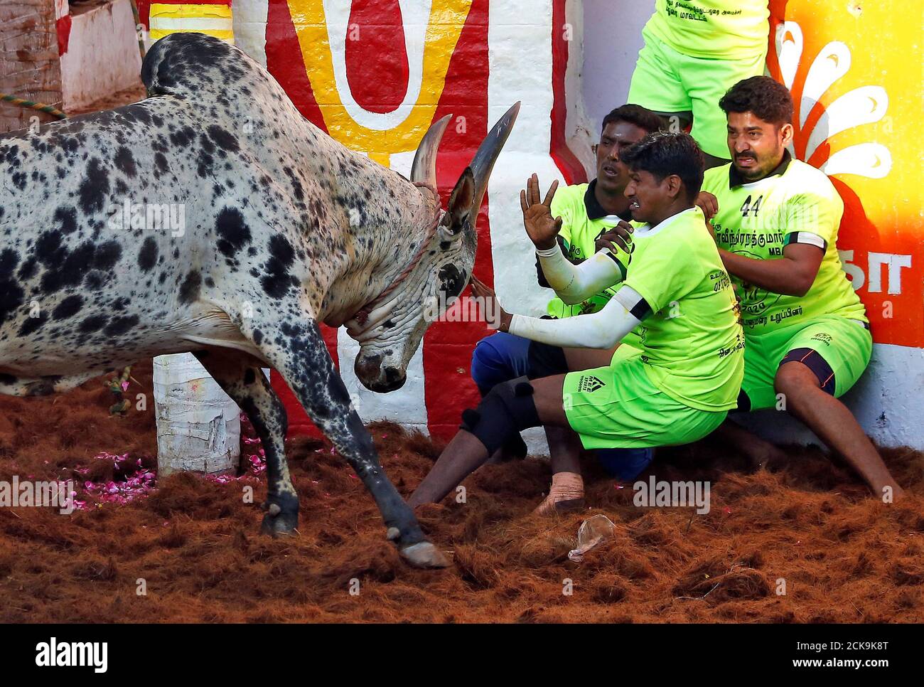 State animal of tamil nadu hi-res stock photography and images - Page 2 -  Alamy