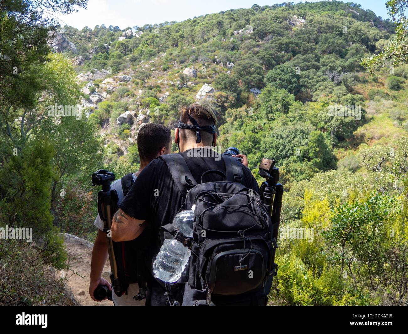 Group of friends hiking on a mountain with thick greenery Stock Photo ...