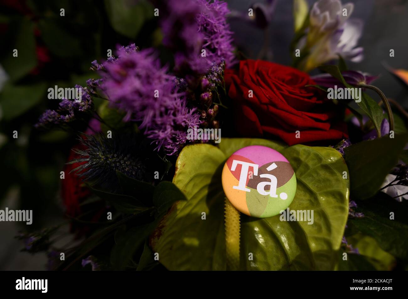 A Badge With A Message Of Ta In Irish Language Meaning Yes In English Is Left With Flowers At A Memorial To Savita Halappanavar A Day After An Abortion Referendum To Liberalise A Badge With A Message Of Ta In Irish Language Meaning Yes In English Is Left With Flowers At A Memorial To Savita Halappanavar A Day After An Abortion Referendum To Liberalise