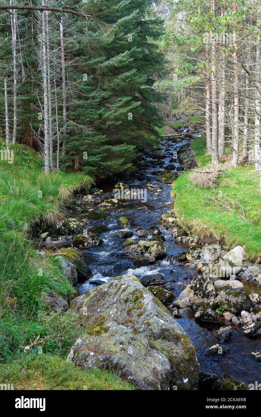 Glen Clova, near Kirriemuir, Angus, Scotland Stock Photo Alamy