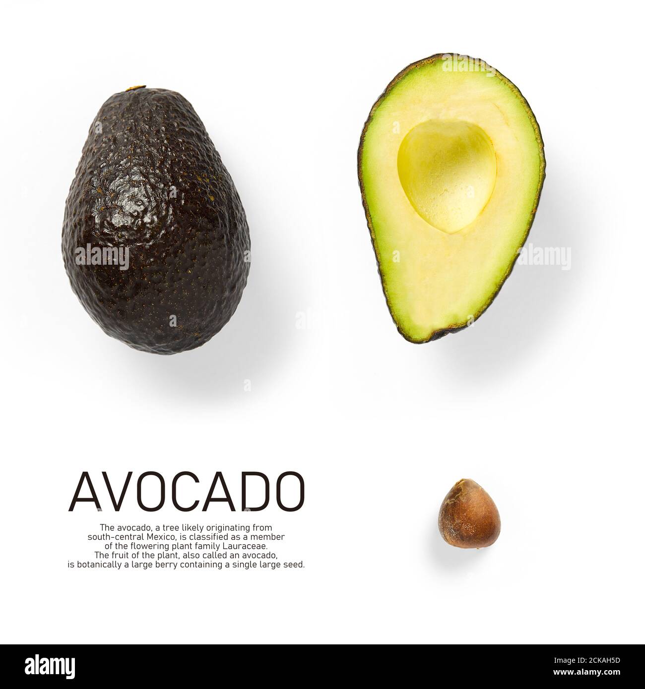 Modern creative avocado collage with simple text on solid color ...