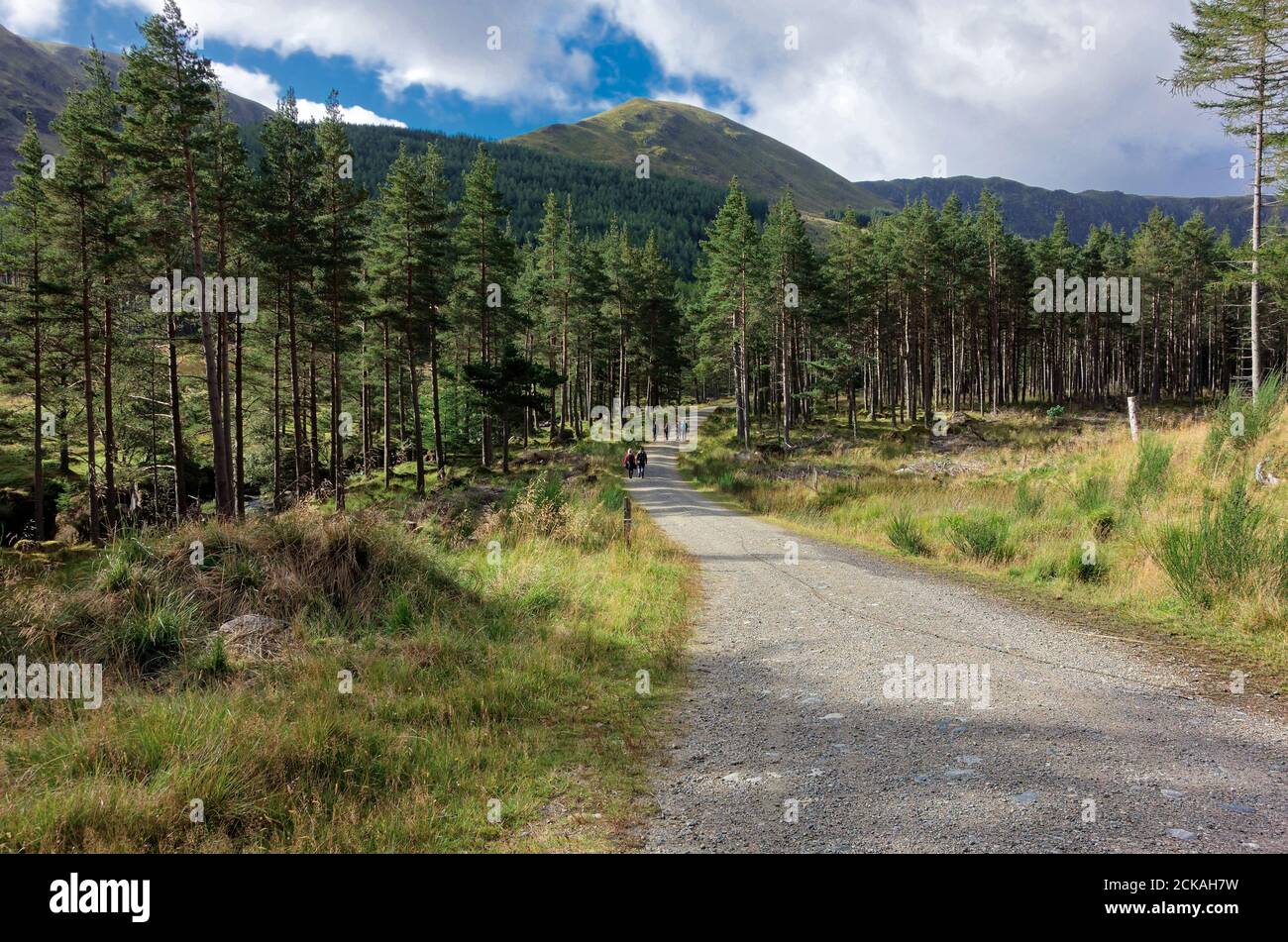 Glen Clova, near Kirriemuir, Angus, Scotland Stock Photo Alamy