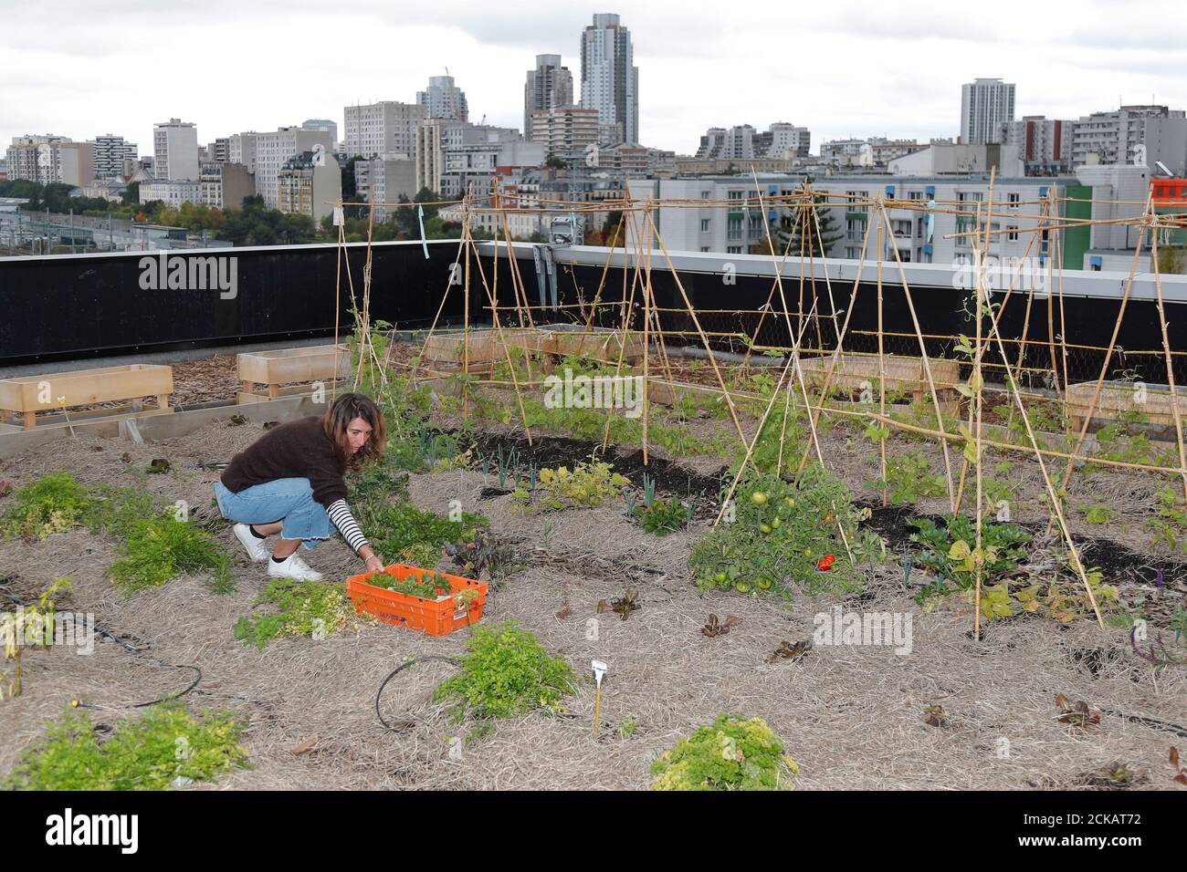 Sophie Jankowski, President of "Seed Postman" association, works on a