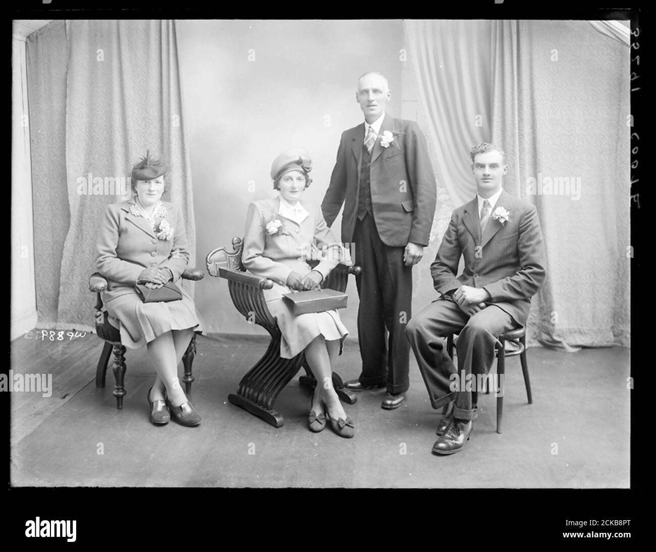 Coote Stock Photo Alamy