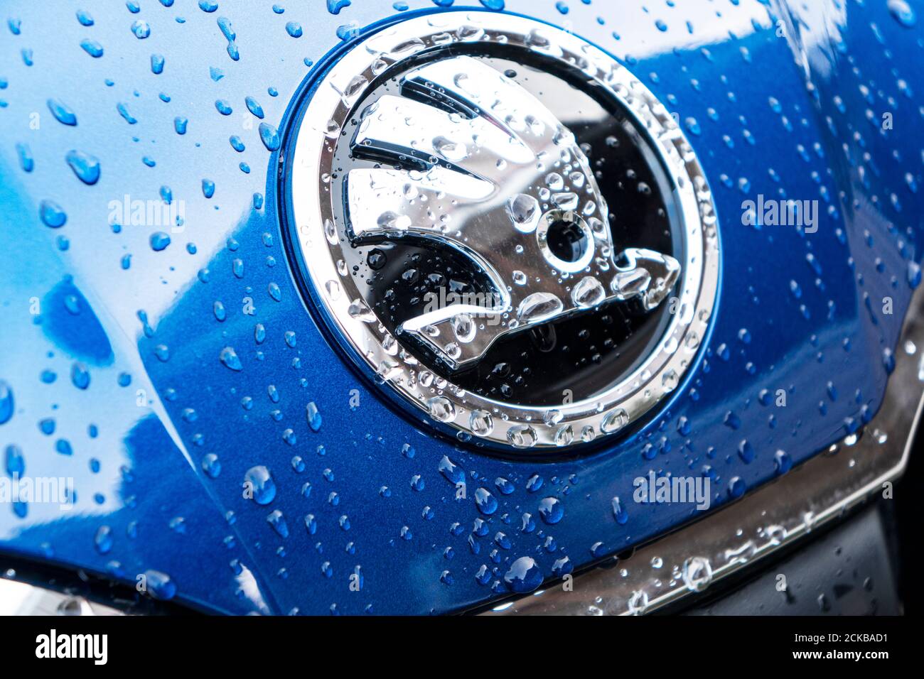 Sankt-Petersburg, Rusiia, April 19, 2020: The new Skoda octavial logo on car hooh with water drops. Stock Photo