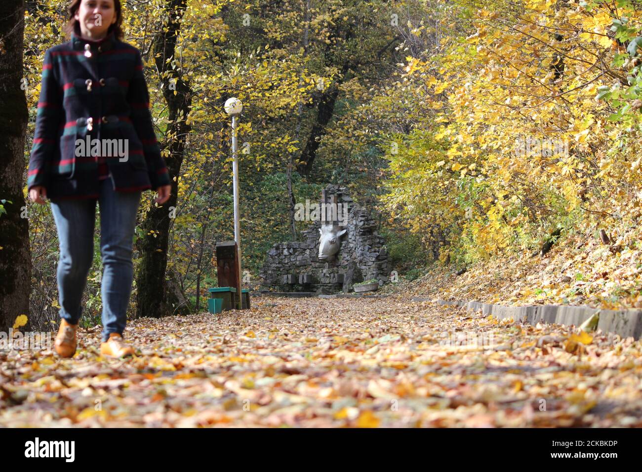 Girl walking alone in forest hi-res stock photography and images - Alamy