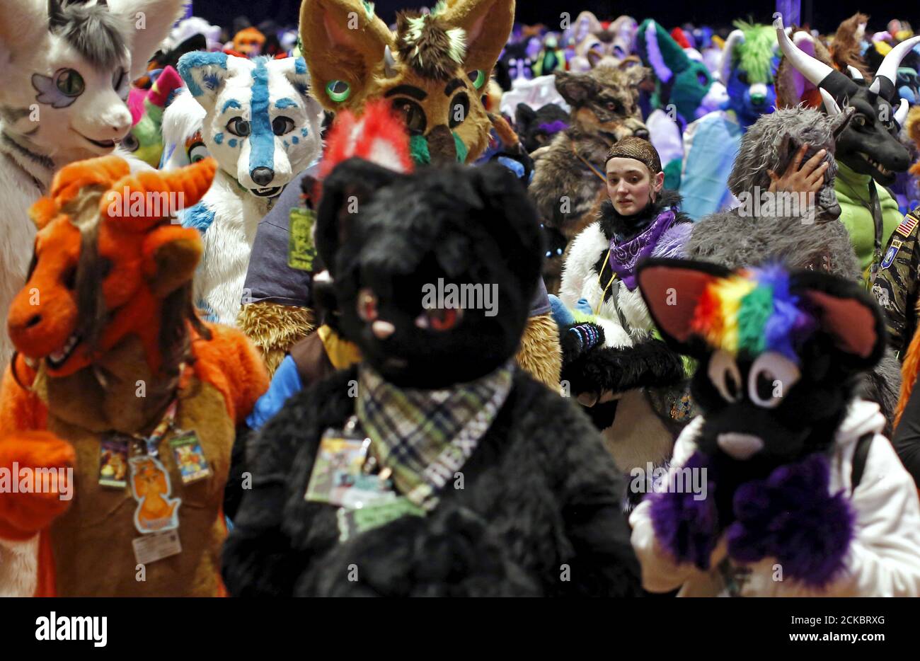 Furfest hires stock photography and images Alamy