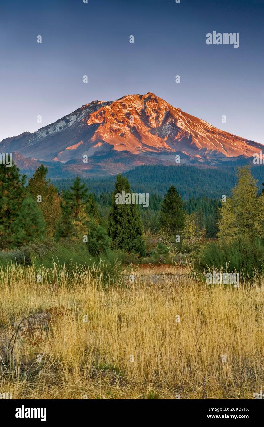 Mount Shasta at sunrise, seen from town of McCloud, California, USA Stock Photo