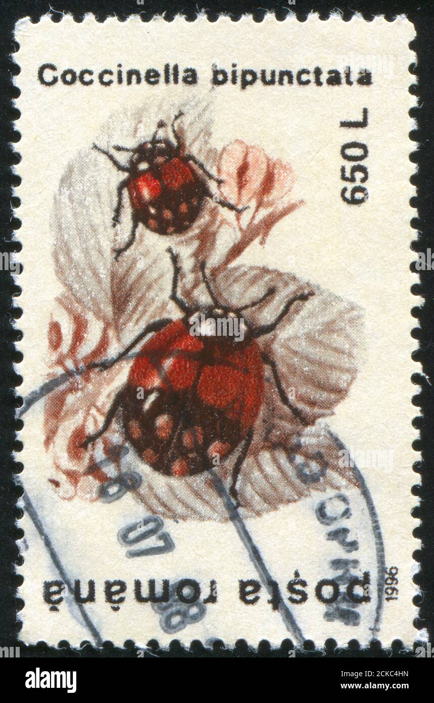 ROMANIA - CIRCA 1996: stamp printed by Romania, shows Coccinella bipunctata, circa 1996 Stock Photo