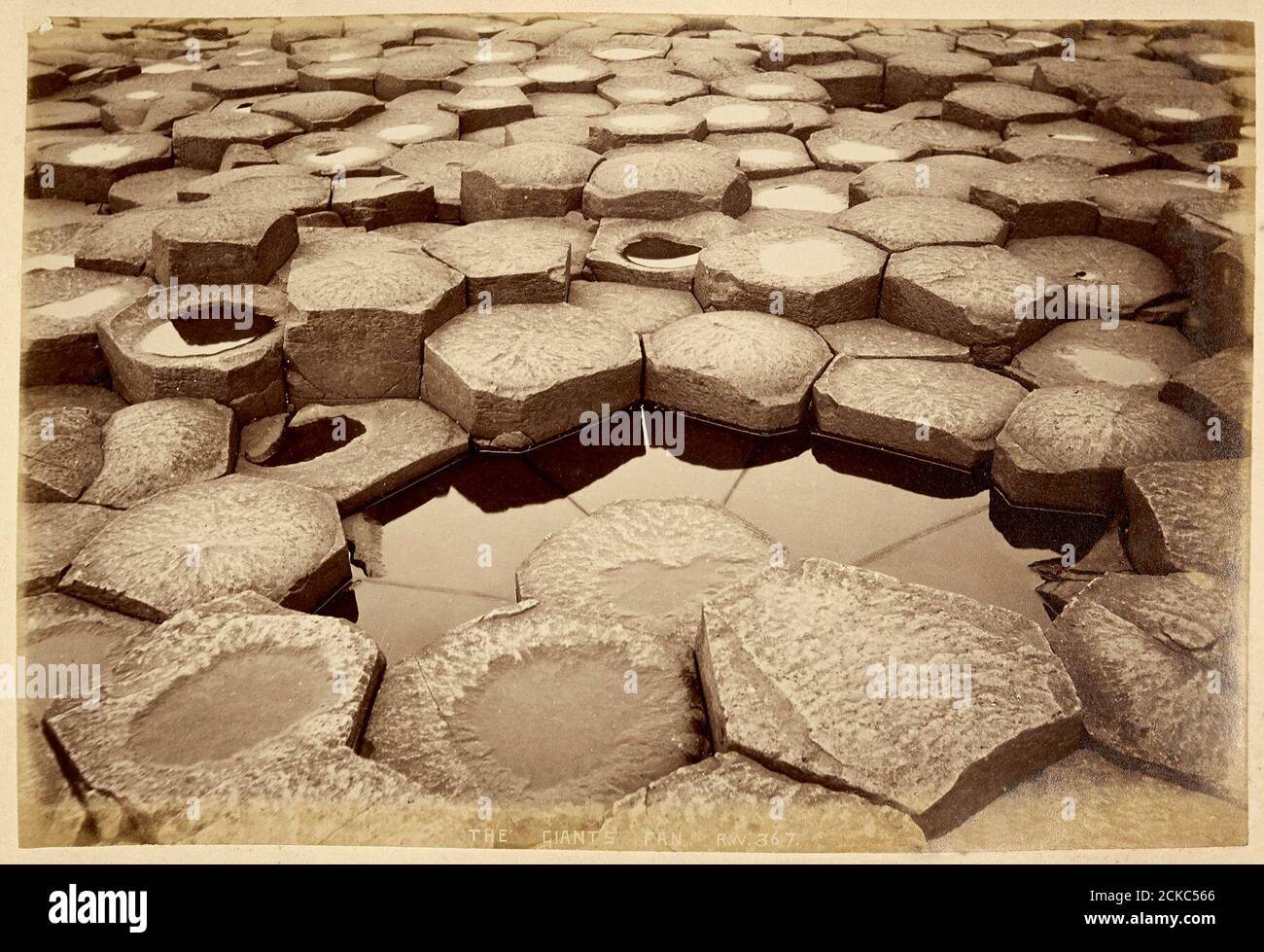 The Giants Fan, Giants Causeway Stock Photo Alamy