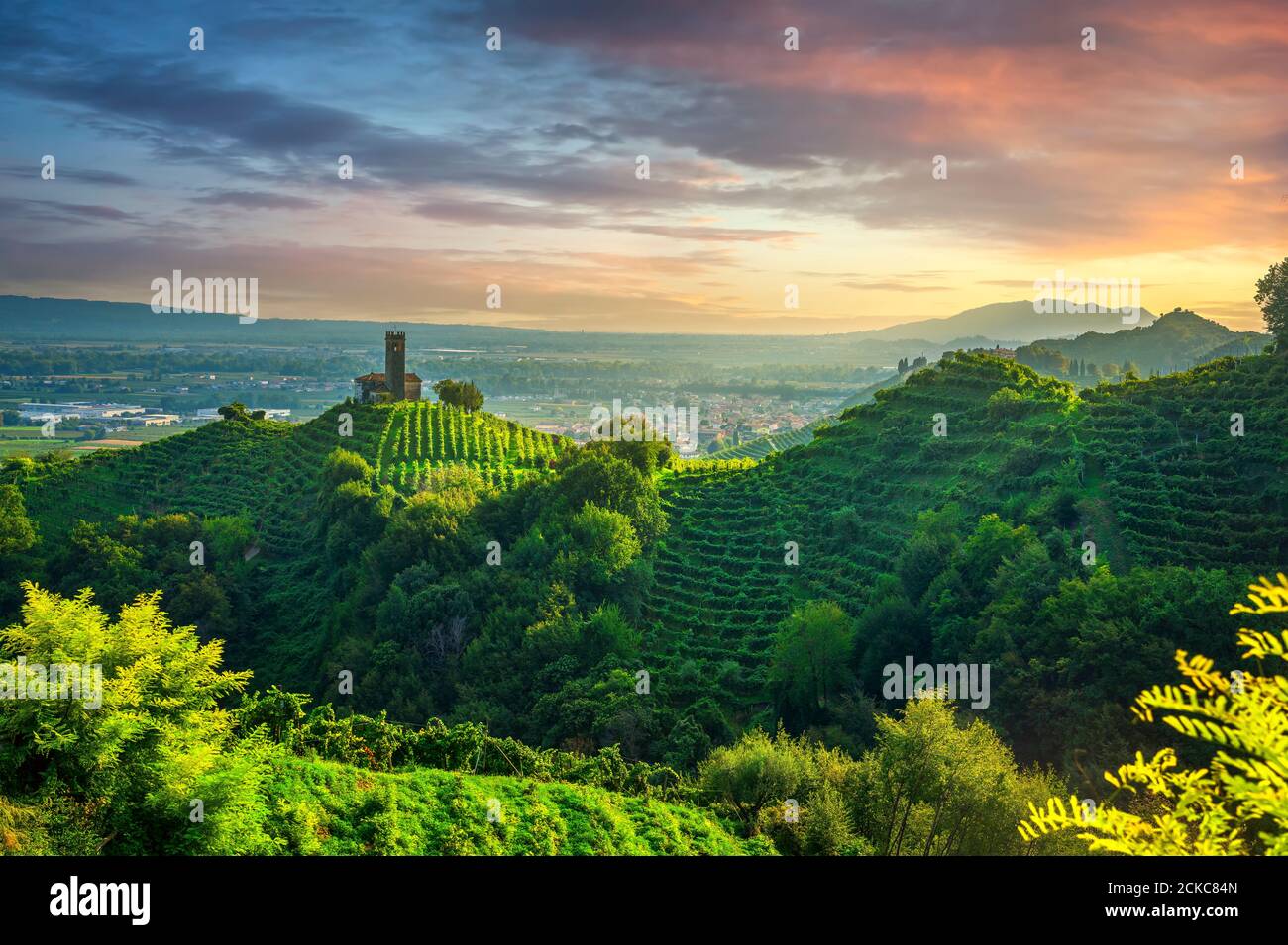 Prosecco Hills, vineyards and San Lorenzo church at sunset. Unesco Site. Farra di Soligo. Veneto, Italy, Europe. Stock Photo