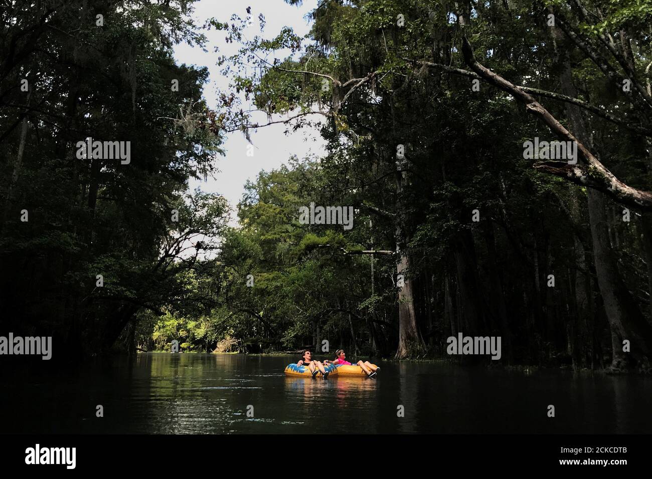 Ichetucknee High Resolution Stock Photography and Images Alamy
