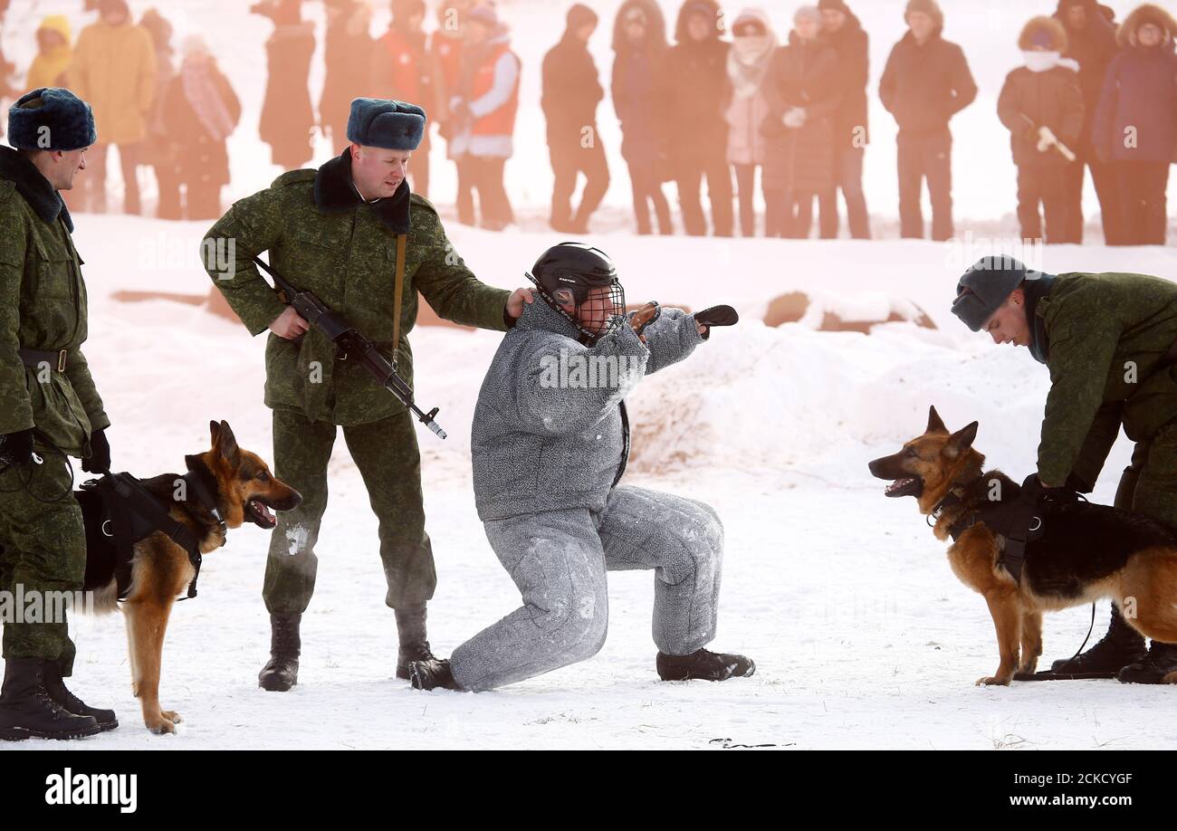 Belarusian soldiers with dogs perform as they mark the Defender of the Fatherland Day at the 'Stalin Line' memorial near the village of Goroshki, Belarus February 24, 2018. REUTERS/Vasily Fedosenko Stock Photo