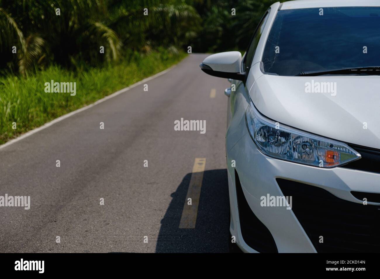 White car parking or on forest road, scenic route. Asphalt road in tropical forest. Greenery nature and travel background. Transportation an Stock Photo Alamy