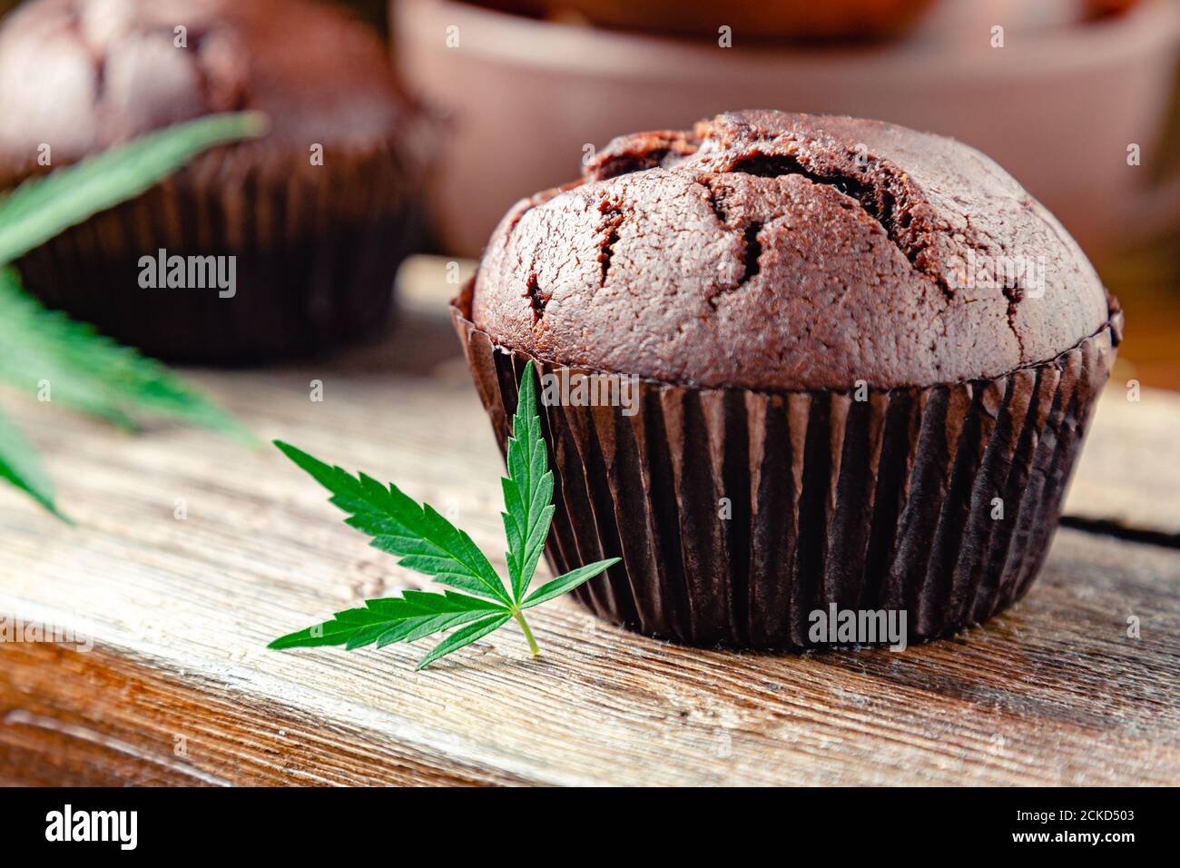 Cupcake with marijuana. Chocolate cupcake muffins with cannabis weed cbd. Medical marijuana drugs in food dessert, ganja legalization. Cooking baking Stock Photo