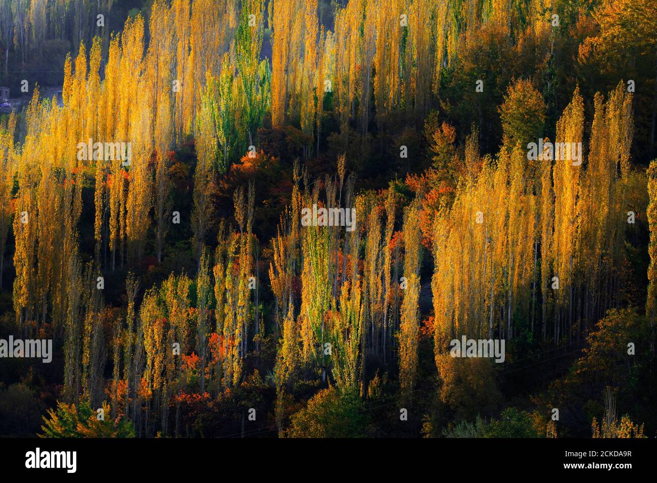 Autumn At Hunza and northern areas of gilgit baltistan , Pakistan Stock ...