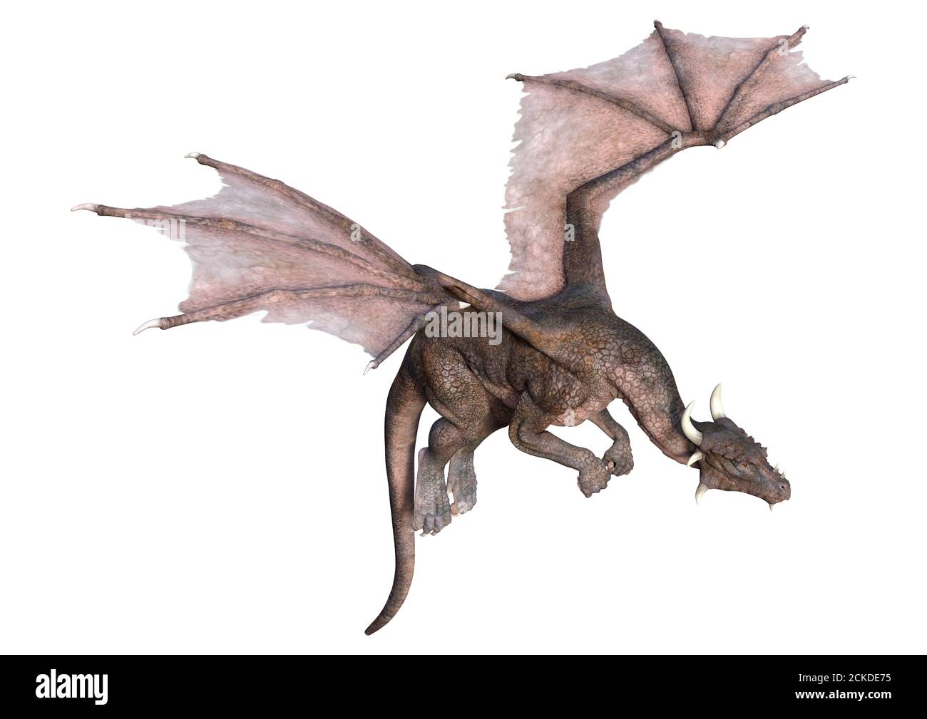 3D rendering of a fantasy dragon isolated on white background Stock ...