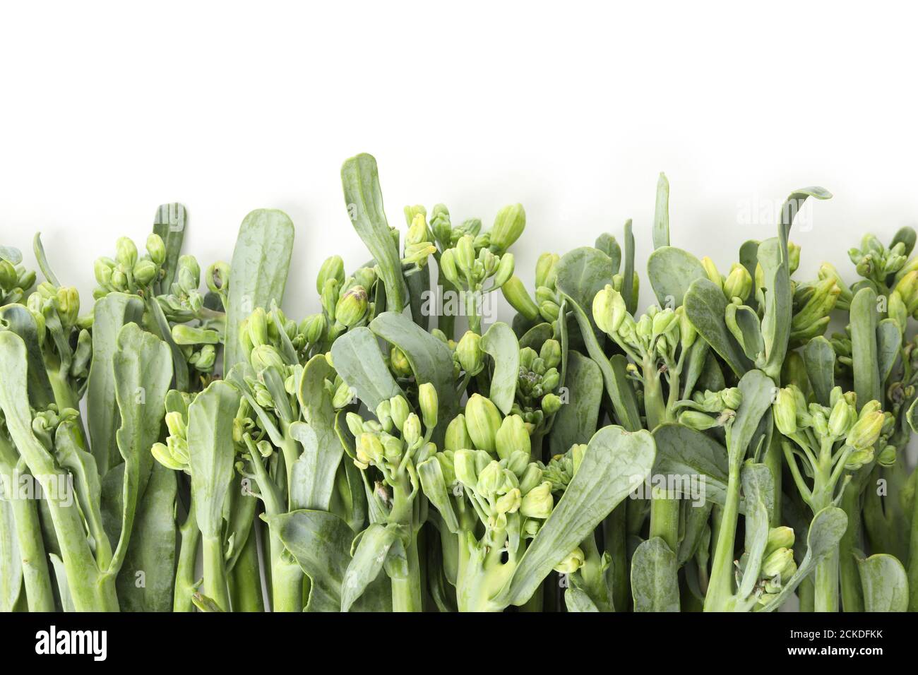 Fresh green broccolini isolated on white background Stock Photo