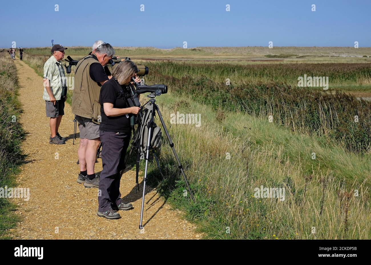 birdwatchers at cley nature reserve, north norfolk, england Stock Photo