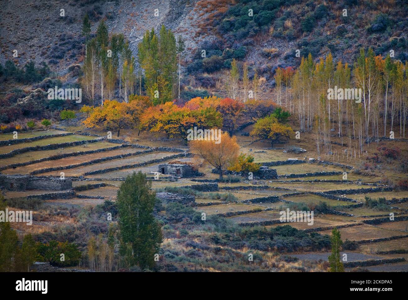 Autumn At Hunza and northern areas of gilgit baltistan , Pakistan Stock ...