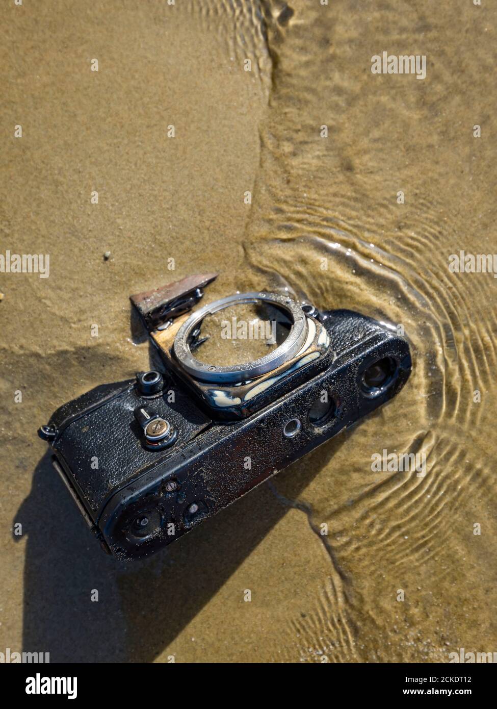 Nikon retro classic SLR film camera body on beach sun bright reflection small ripples rippled sea water surface Stock Photo
