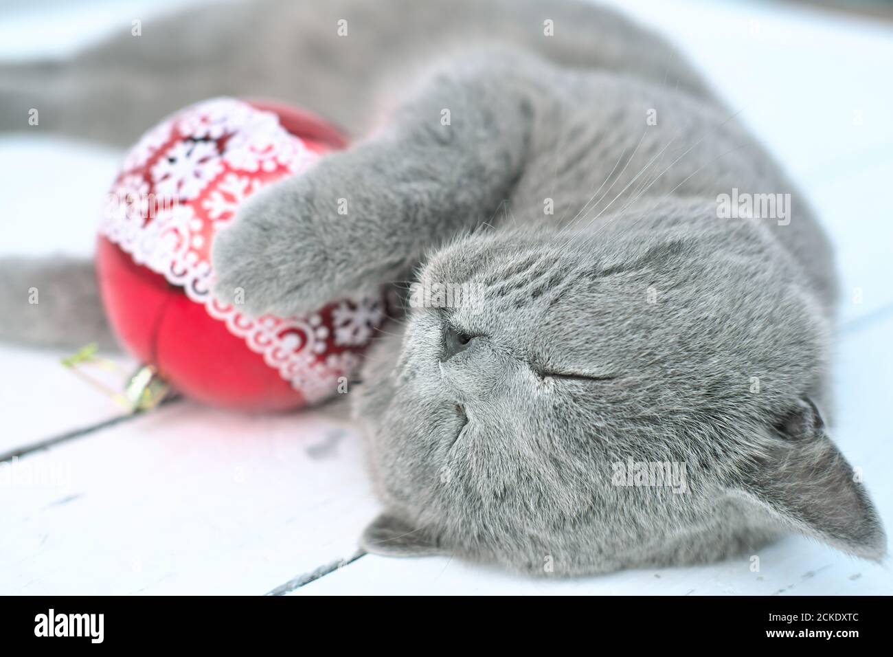 Queen Elizabeth II talks hope amid pandemic in Christmas speech, image size:1300x956