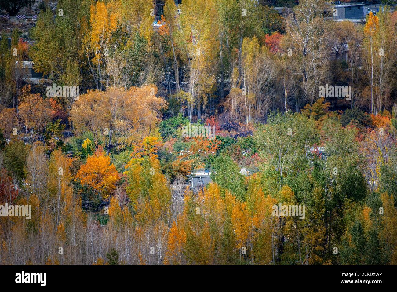 Autumn At Hunza and northern areas of gilgit baltistan , Pakistan Stock ...