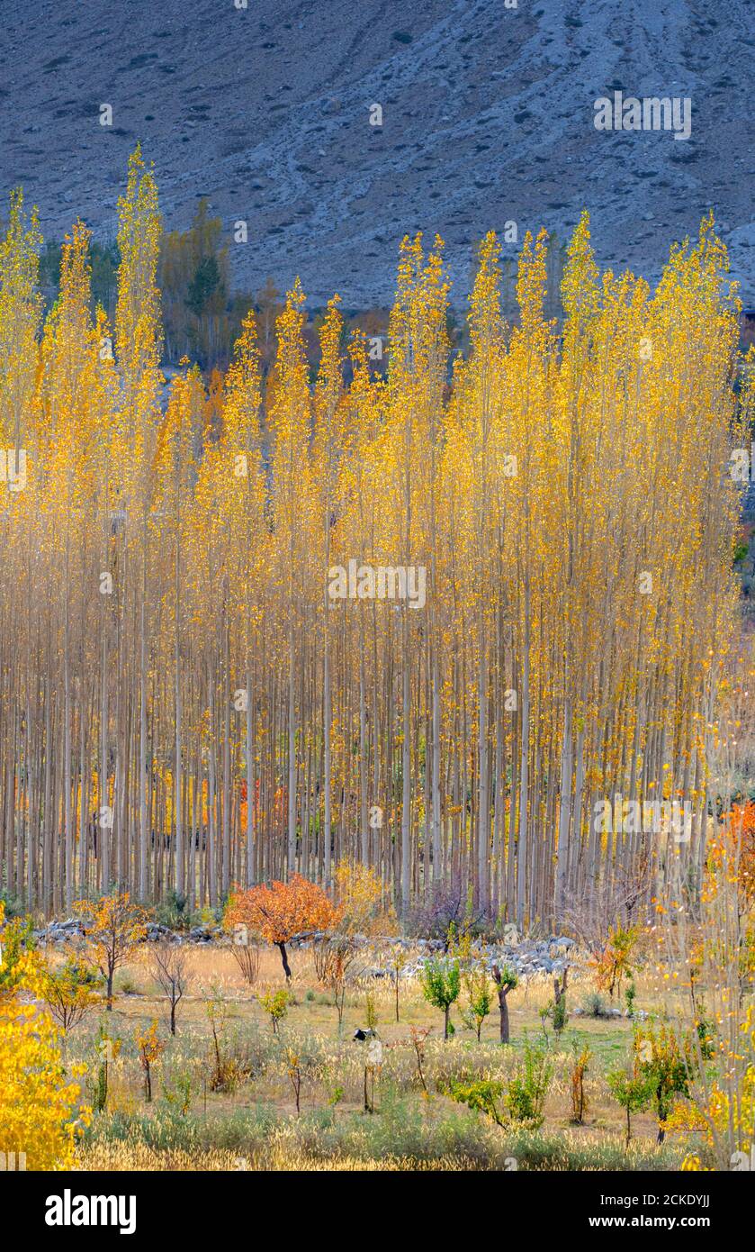 Autumn At Hunza and northern areas of gilgit baltistan , Pakistan Stock ...
