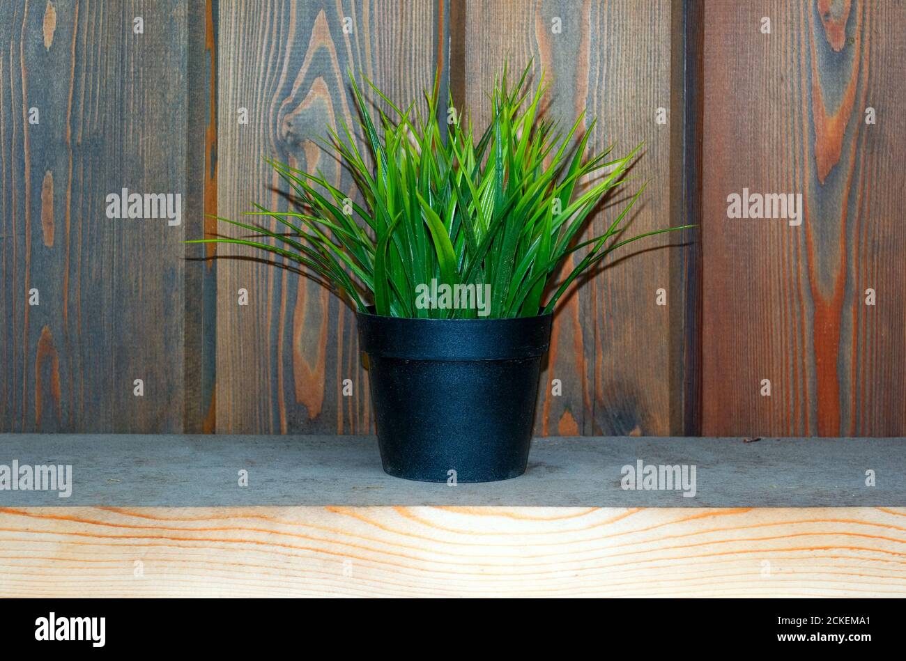 artifical grass in pot on desk. Fake grass decor Stock Photo Alamy