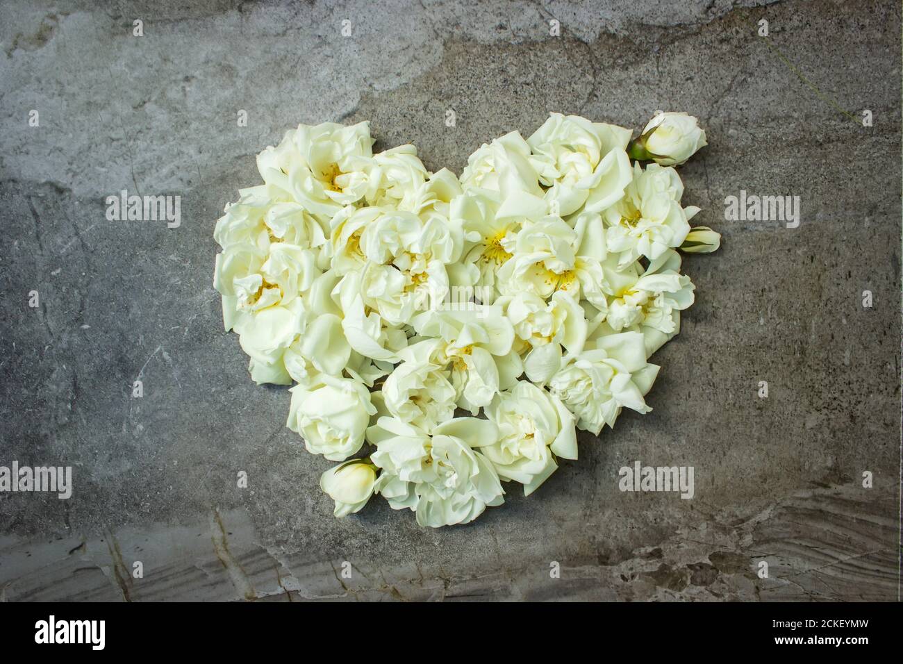 Download Feminine Flat Lay Blog Photo High Resolution Stock Photography And Images Alamy