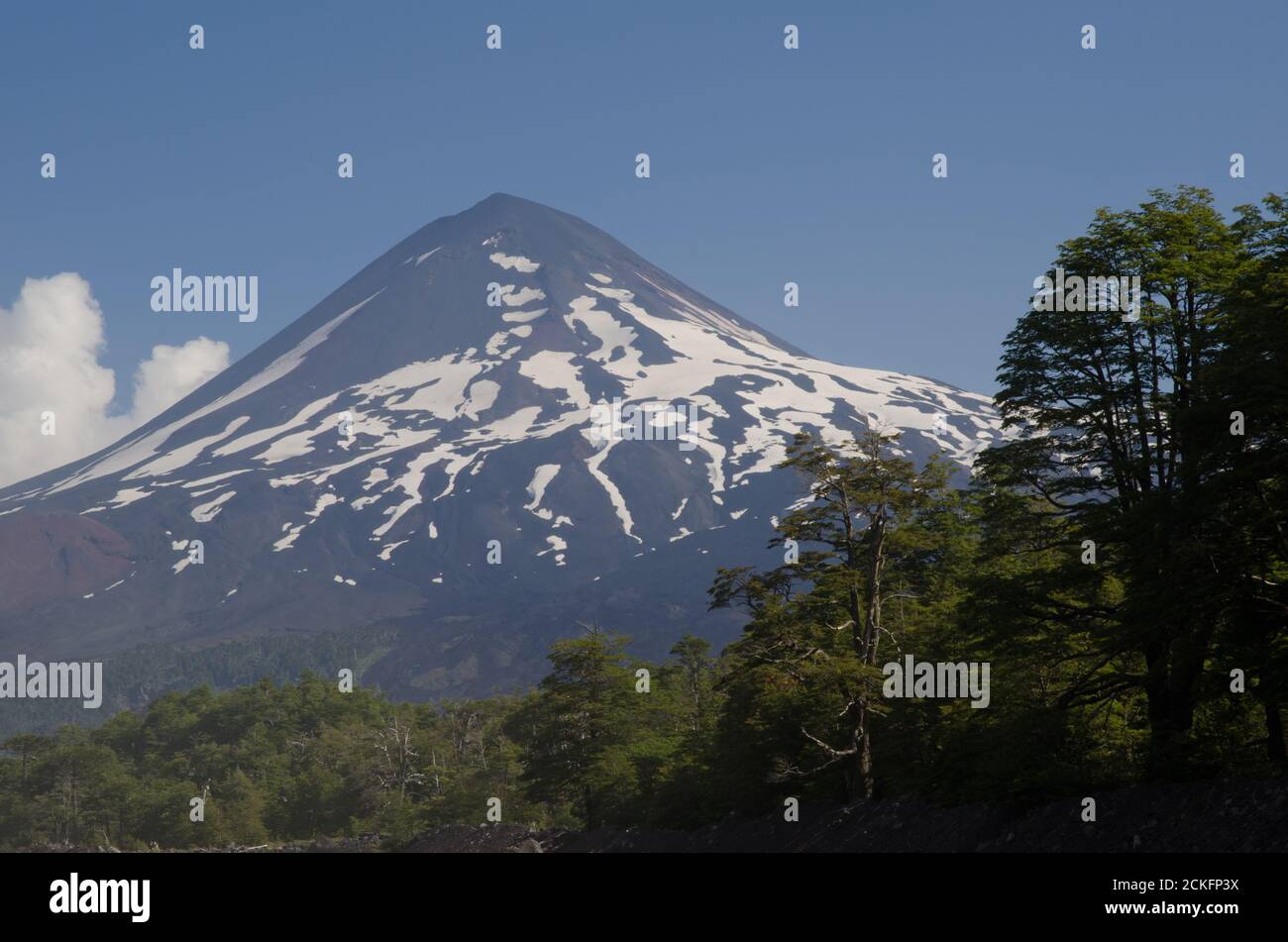 Llaima volcano in the Conguillio National Park. Araucania Region. Chile ...